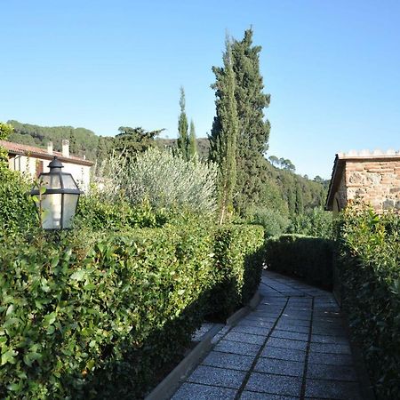Appartamento Monolocale con piscina S.Martino Riparbella Esterno foto